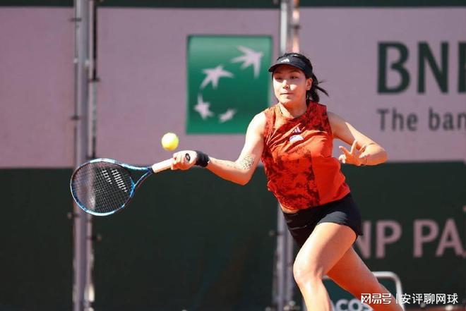 世界网坛最新排名深度解析