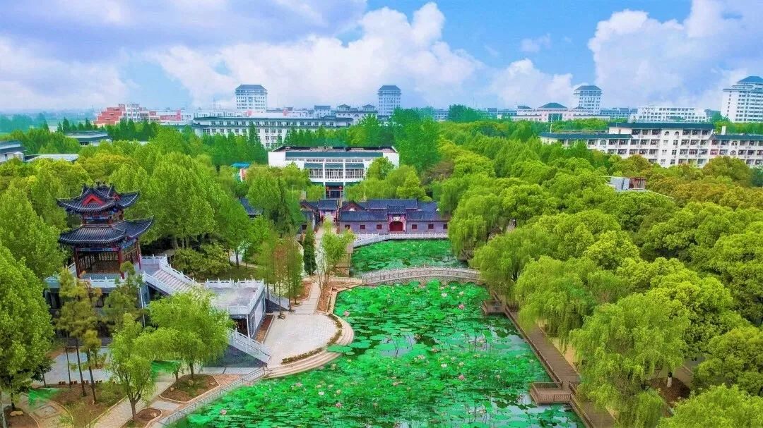 园林项目工程规范，构建美丽生态的指南