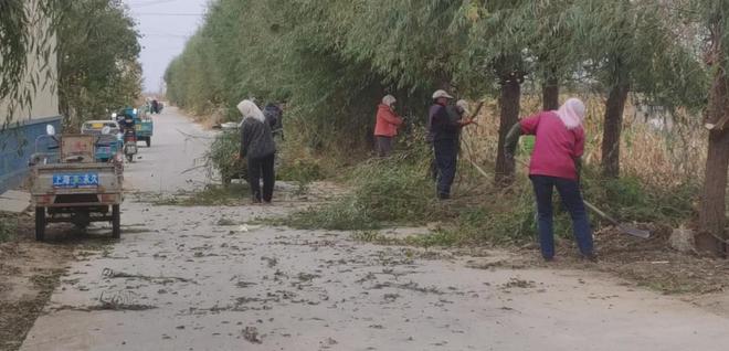 乡镇铁腕措施15条，乡村振兴新篇章开启！